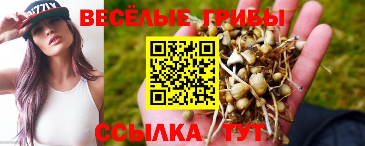 Псилоцибиновые грибы Psilocybine cubensis Фрязино